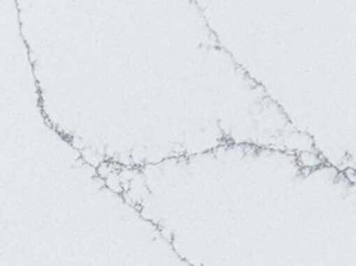 Featured 07 Alaska Bianca Close Up Terra Collection Meta Quartz Countertops