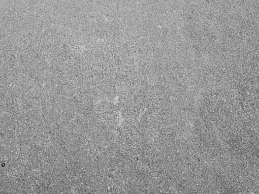 feat black mist granite 3cm meta surfaces houston